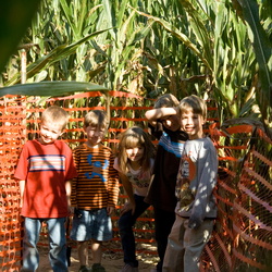 Pumpkin Farm