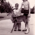1946, Sept: Kathy, Feline and Johnny Montgomery (neighbor?)