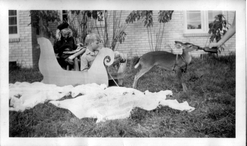 1946, Dec: Kathy reads while Wallace rewards Feline with milk