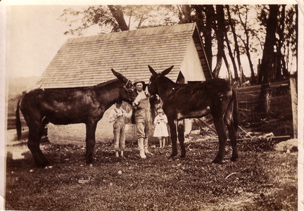 Jeff George with children and mule team on the farm.