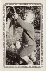1937, December: Photo shoot of Wally F for Christmas card