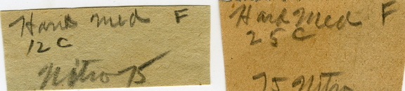 kgrave12.jpg