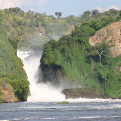 11/27 b. Murchison Falls