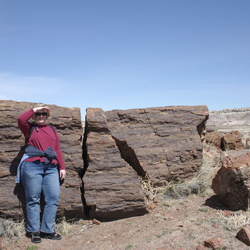 3/26-27 Petrified Forest