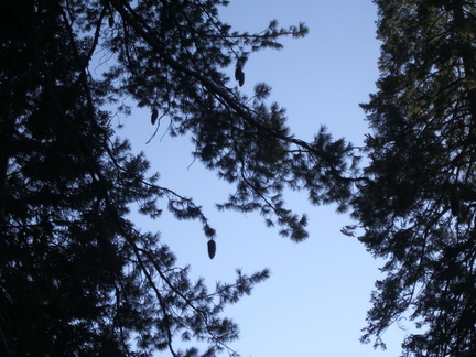 IMGP0102