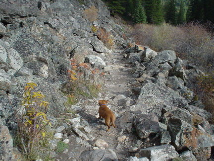 DSC00506