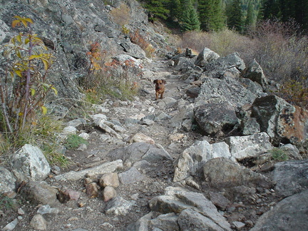 DSC00508