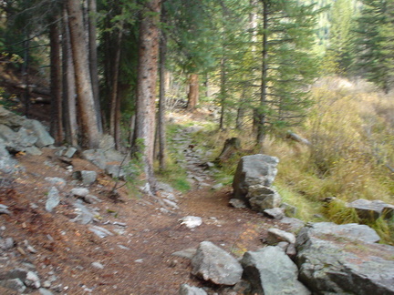DSC00521