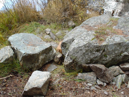 DSC00522