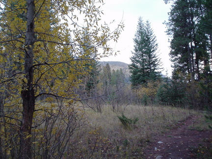 DSC00545