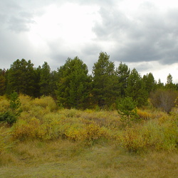 Cabin 2005 Fall