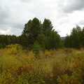 DSC01836