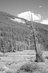 IMG_0823