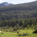 IMG_0903
