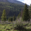 IMG_0907
