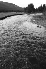 IMG_0981
