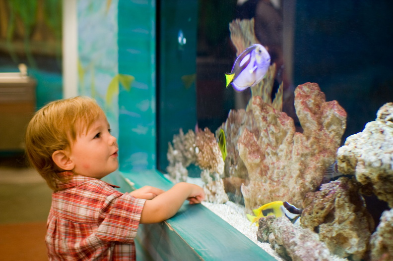 Wally and his favorite animal, fish. He was sooo excited to have them to himself.