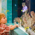 Wally and his favorite animal, fish. He was sooo excited to have them to himself.