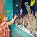 Wally pointing to the fish. Oooooh.