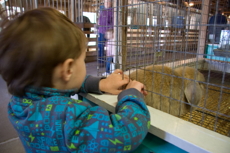 Easter at Purina Farms