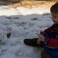 Wally addresses his new snow family