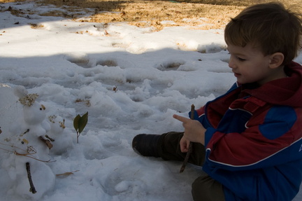 Wally addresses his new snow family