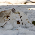 Snowy family portrait