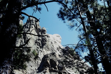 IMAG0721