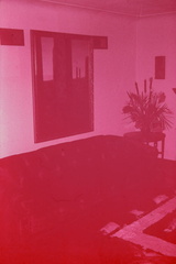 IMAG0020